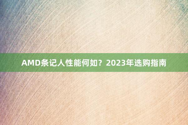 AMD条记人性能何如？2023年选购指南